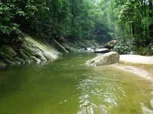 Panoramic view of Patanemo valley and its natural environment
