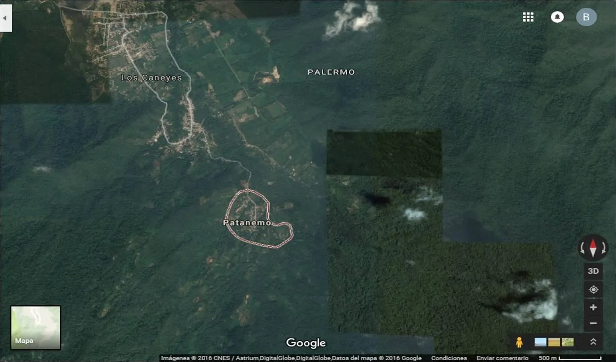 Detailed map of Patanemo geographical location in Venezuela